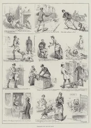 ドッグショーの準備